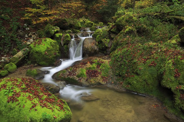 Twannbach Gorge