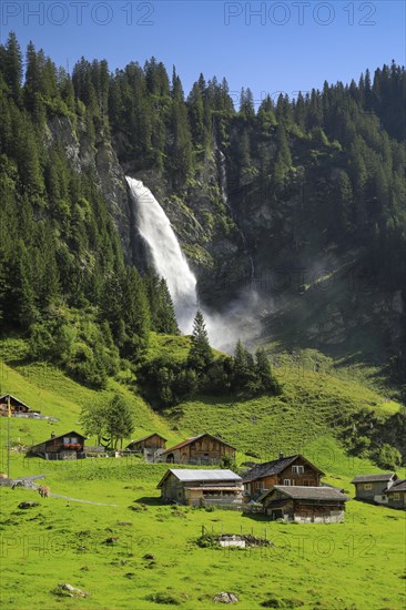 Staeubifall