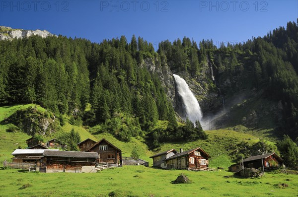 Staeubifall
