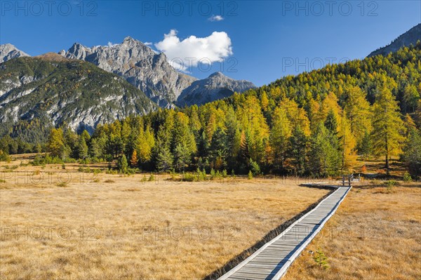 High moor with footbridge