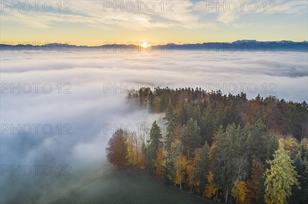 View from Pfannenstiel to Saenits