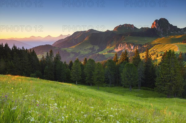 Swiss Alps and foothills of the Alps