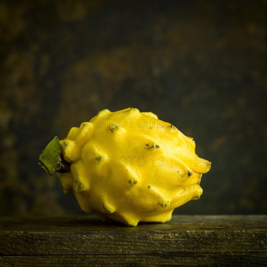 Yellow Pitaya Hylocereus