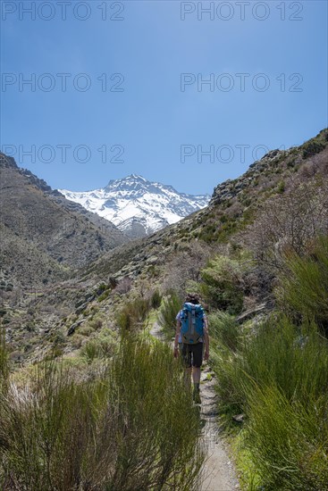 Hiker on a hiking trail