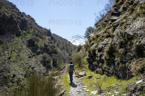 Hiker on a hiking trail