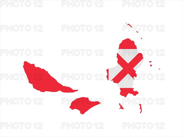 Flag in form form of the geographical country