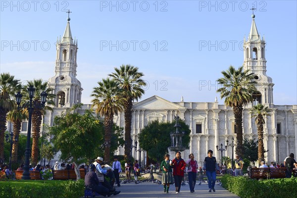 Cathedral