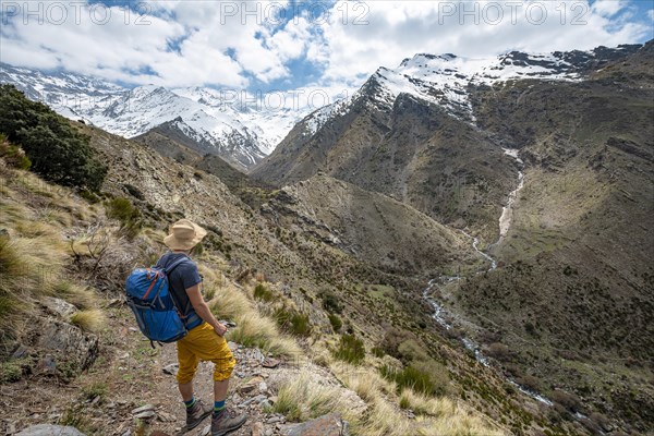 Hiker on a hiking trail