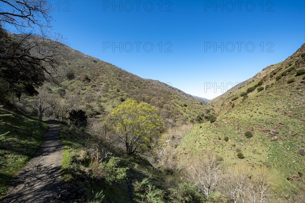 View into the valley