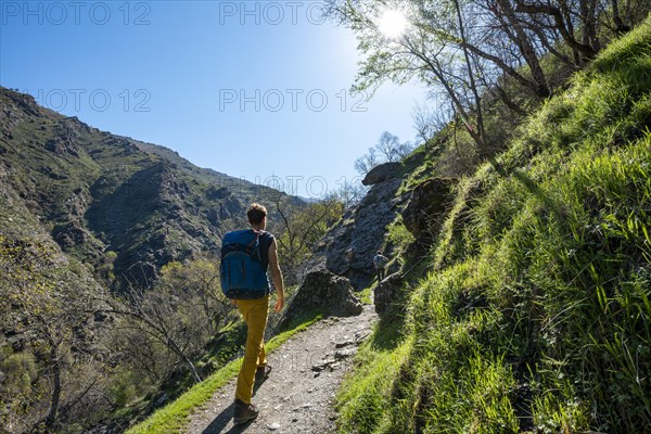 Hikers on hiking trail Vereda de la Estrella