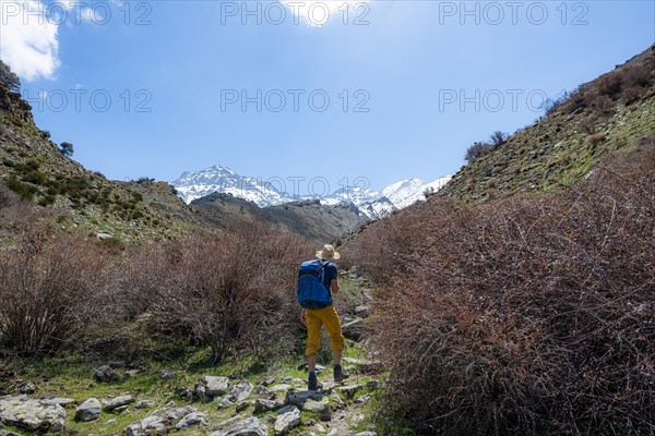 Hiker on a hiking trail
