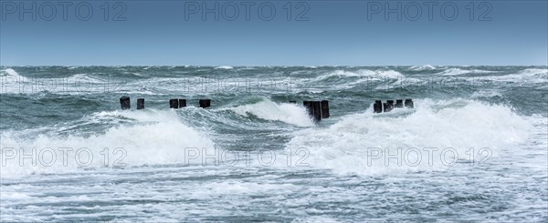 Winter storm at the Baltic Sea