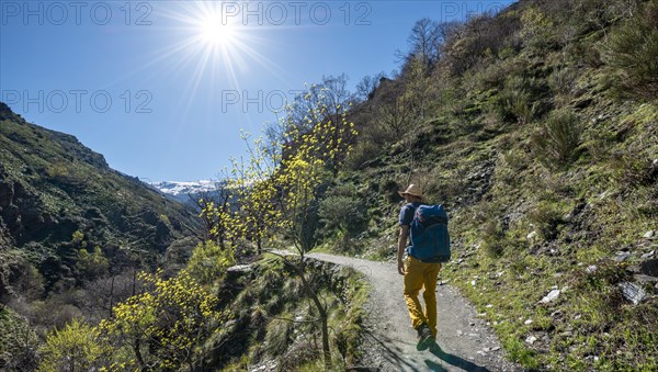 Hiker on hiking trail Vereda de la Estrella