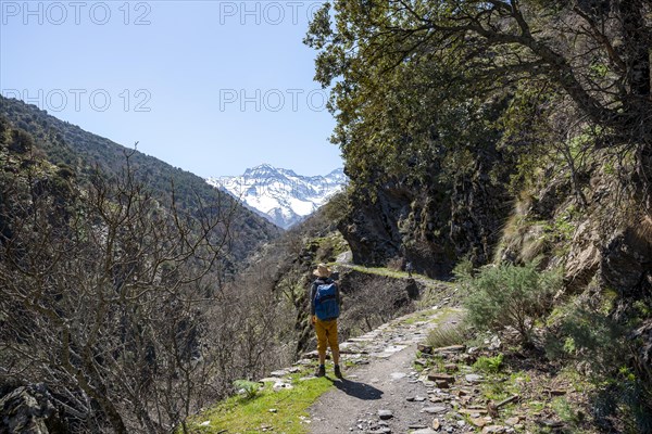 Two hikers on one trail