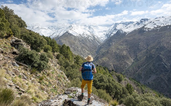 Hiker on a hiking trail