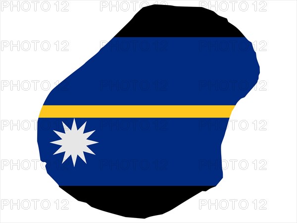 Flag in form form of the geographical country