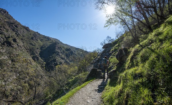 Hiker on hiking trail Vereda de la Estrella