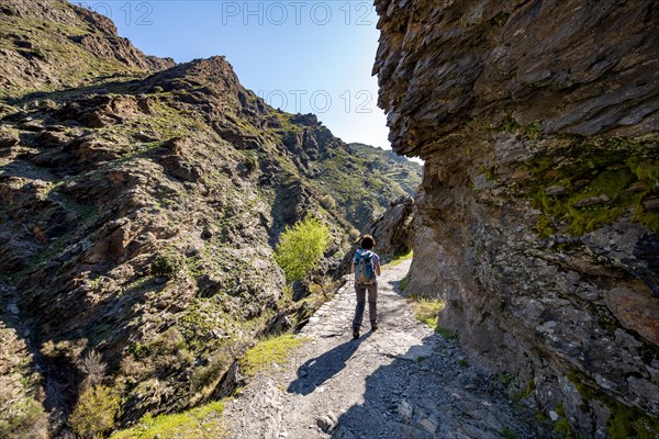 Hiker on hiking trail Vereda de la Estrella