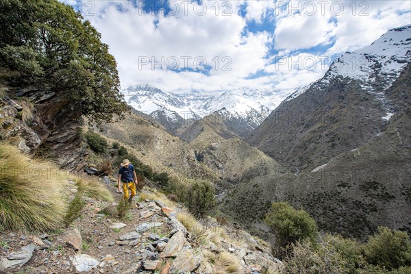 Hiker on a hiking trail