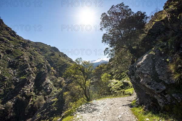 Hiking trail Vereda de la Estrella