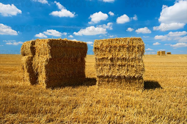 Endless stubble field with bales of straw
