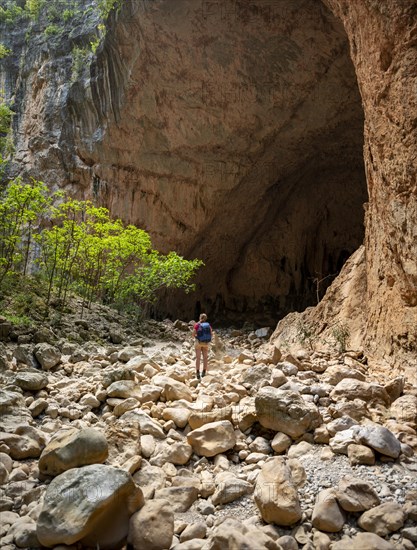 Hiker stands in a gorge
