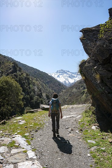 Hiker on a hiking trail
