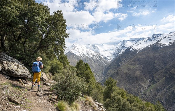 Hiker on a hiking trail