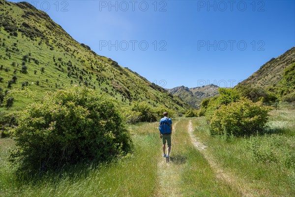 Hiker on trail in a valley