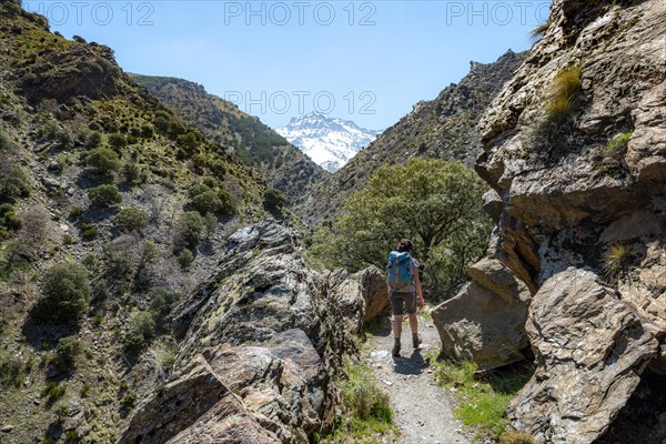 Hiker on a hiking trail