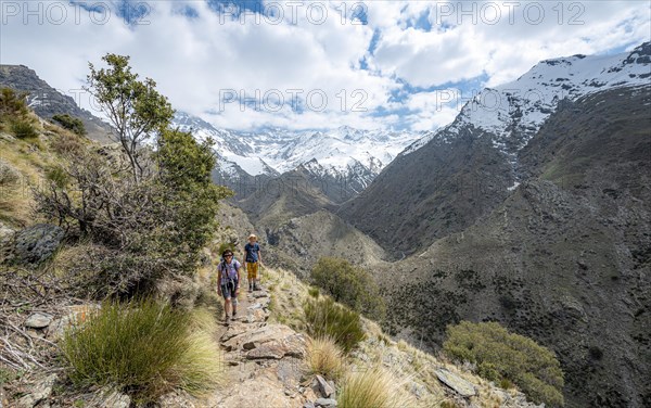 Hiker on a hiking trail