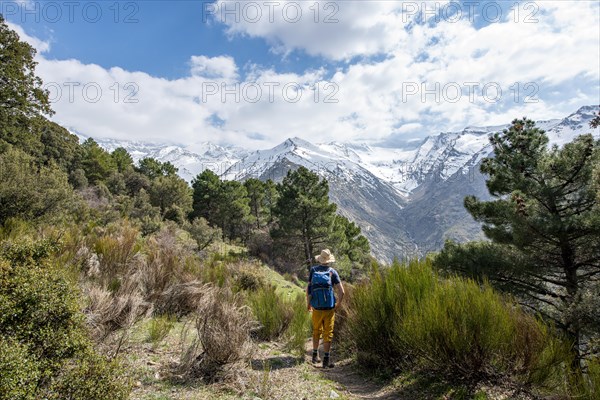 Hiker on a hiking trail