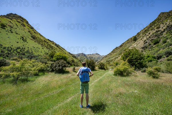 Hiker on trail in a valley