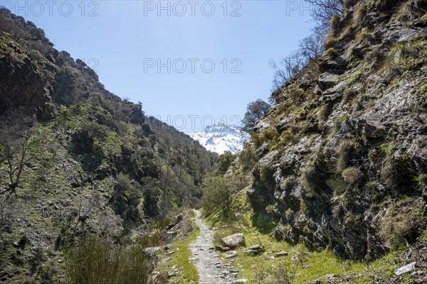 Hiking trail Vereda de la Estrella