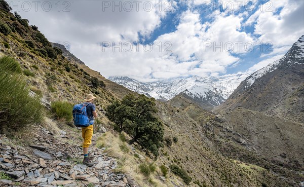 Hiker on a hiking trail