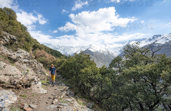 Hiker on hiking trail