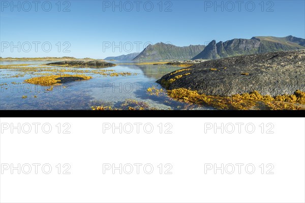 Shallow coastal waters