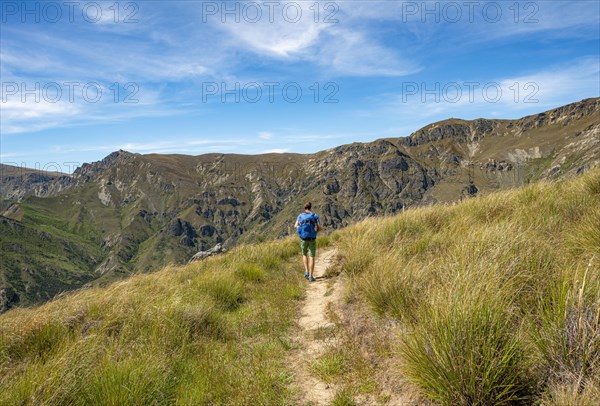 Hikers on trail