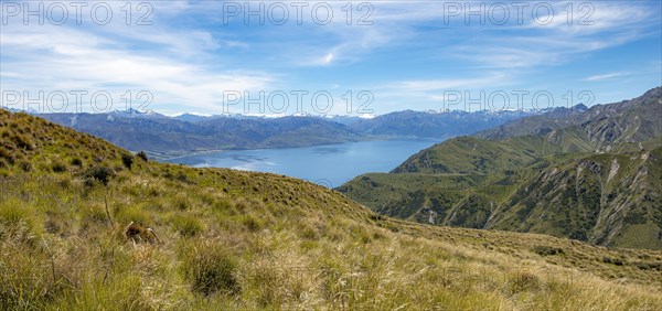 View from the Grandview Mountain Track to the lake