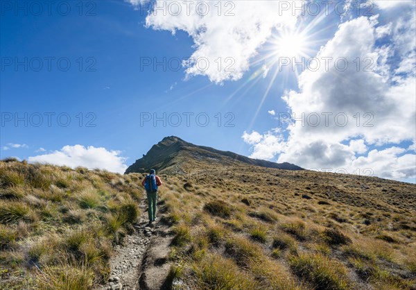 Hiker on the hiking trail to Ben Lomond