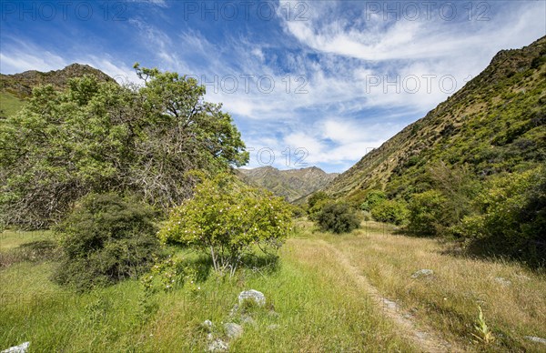 Hiking trail in the valley of Grandview Creek