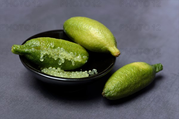 Australian finger lime