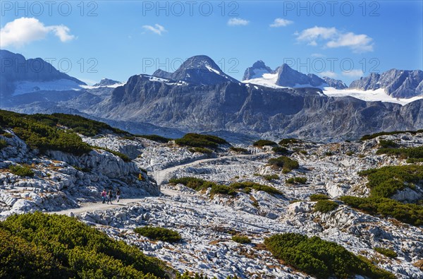 Heilbronn circular hiking trail with views of the Hoher Dachstein