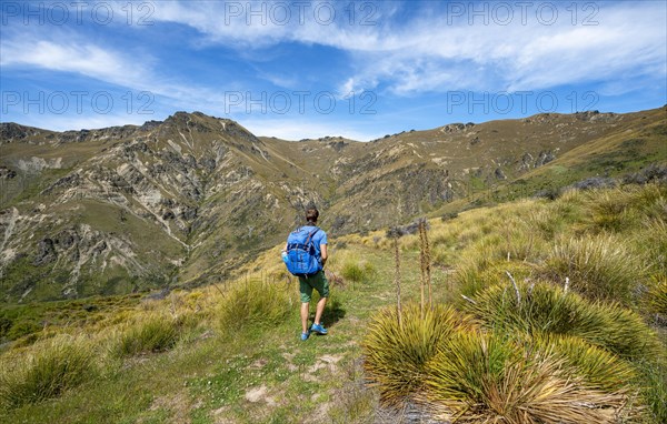 Hikers on trail