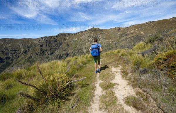 Hikers on trail