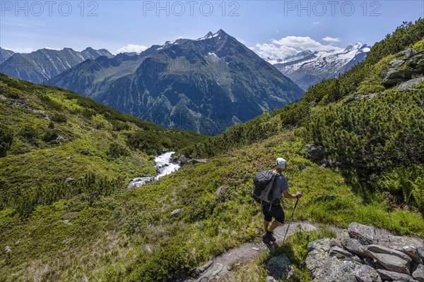 Hiker on hiking trail