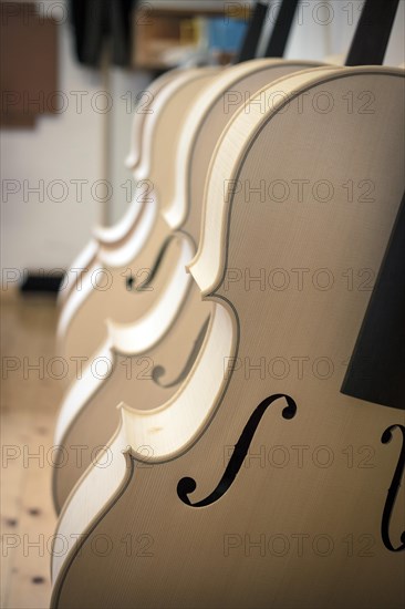 Violin blanks