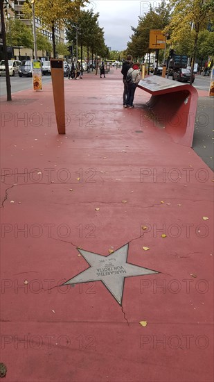 European Starling on the Boulevard of Stars on Potsdamer Strasse