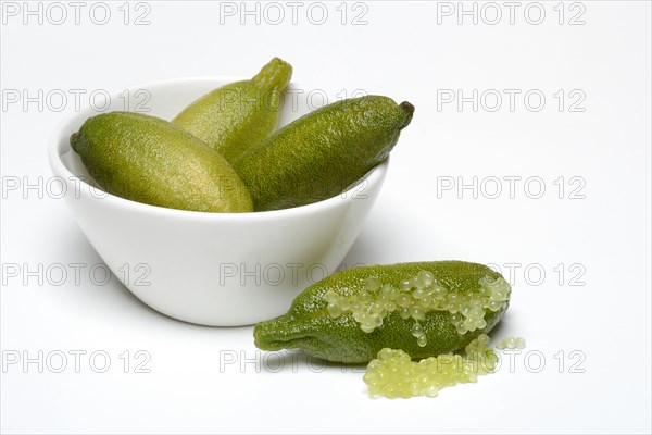 Australian finger lime