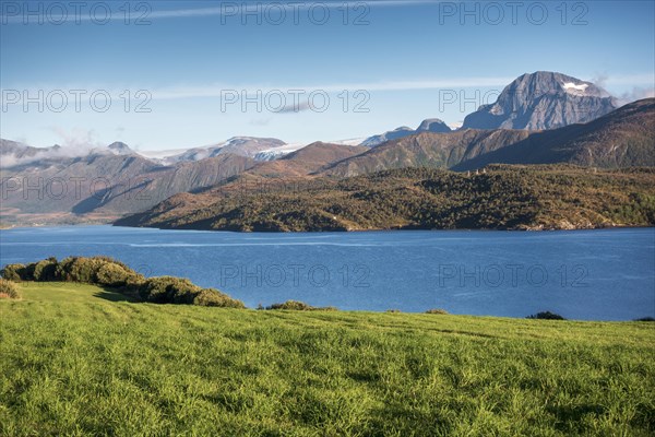 Green pasture in front of a fjord
